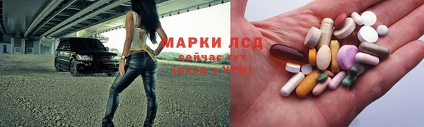 прущие грибы Алексин