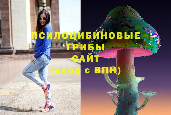прущие грибы Алексин