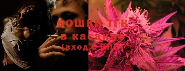 стафф Медногорск