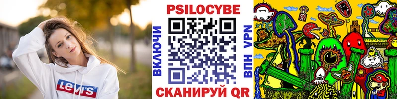 Псилоцибиновые грибы прущие грибы  Шлиссельбург 