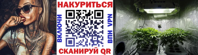 магазин продажи   Шлиссельбург  Каннабис сатива 